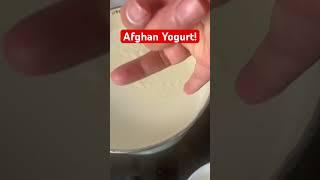 Afghan Yogurt! #yogurt#afghan#afghankitchen