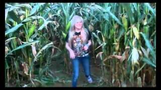 Tabby of the corn!