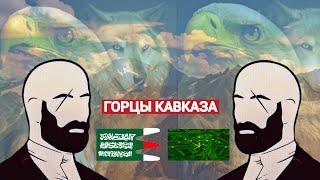 Какие Кавказские народы оказали России самое ожесточенное сопротивление?