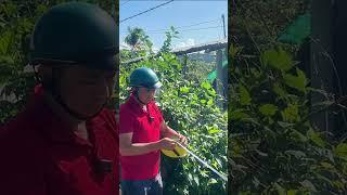 Đo Đất Tách Thửa Thực Tế Cùng Cường DAHOTA #batdongsan