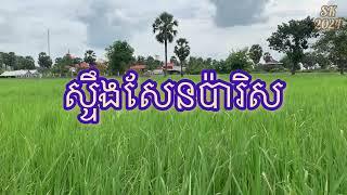 នាវាលាផែ | ស្ទឹងសែនប៉ារិស | Music 168