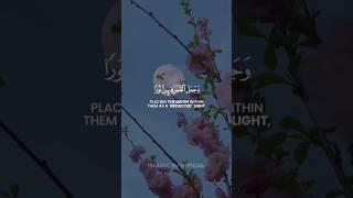 SURAH NŪH [13-18] | ISLAMIC SV OFFICIAL | #islamicstatus #islam#surha#viral