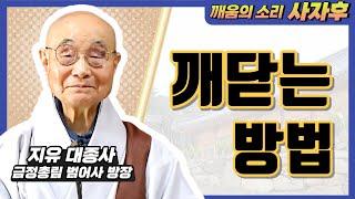 간화선? 묵조선? 뭐가 더 좋은 참선 방법일까. 내 마음 깨닫는 방법│깨움의 소리 사자후 12화