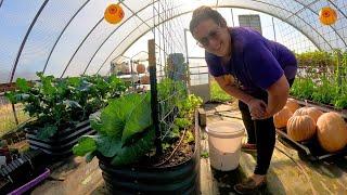 This Was WAY Overdue! Greenhouse Drip Irrigation (& Rabbit For Dinner) | Farm Life VLOG