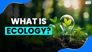 What is Ecology? | Letstute