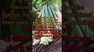 Vanilla spice flavor, price per kg/ वनिला मसाला फ्लेवर, कीमत प्रति किलो #vanilla #spices