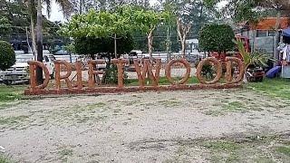 Driftwood Beach @ Barretto Subic Zambales