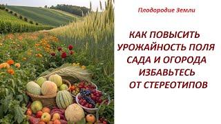 Сенсационный метод восстанавливает землю и даёт огромные урожаи без химии в пахотных полях №689/24