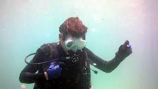 Dive footage from 7-12 and 7-13 Okinawa, Japan