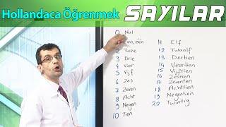 Hollandaca öğrenmek-Sayılar (Sıfırdan Başlayarak) learn dutch