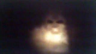 ALBINO BIGFOOT CAUGHT ON TAPE