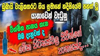 ගිය සුමානේ වැලිකතරට හදීසීයේම පහත් වූ යානාවෙන් වැටුණු විශ්මිත පානය,,, මේක පිටසක්වල  ජීවීන්ගේ පානයක් ද