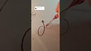 How To Sign The Letter X?? #signature #signfabrication #art #lifeisbutadream #calligraphy #artgrab