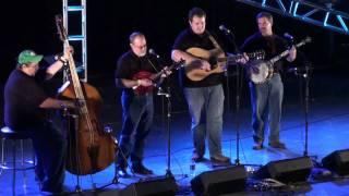 Foggy Hollow Bluegrass -  Cold Virginia Rain