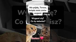 Z cyklu #Maniek i #Teresa: #AkyszSzatanie #niedziela  #smieszne #humor #kociarozmowa