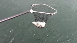 Vision Quest Lake Erie Fall Trout Fishing