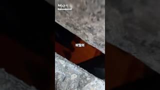 시카고 건물 기둥 속 숨겨진 비밀