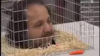 Feeding Ron Jeremy Carrots