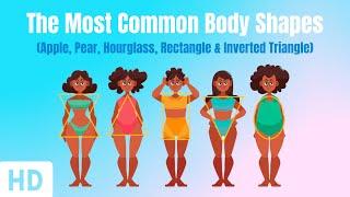 The Most Common Body Shapes