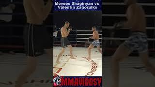 Knockout ProFC 8 - Movses Shaginyan vs Valentin Zagorulko #mma #ProFC #knocked