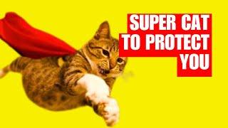 Learn The 8 HIDDEN Signs Your Cat is  Protecting You