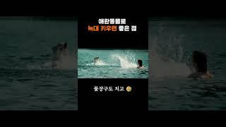늑대를 애완동물로 키우면 좋은 점 #알파 위대한여정 #영화리뷰