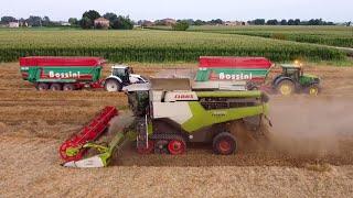 Claas Lexion 6800 Terra Trac + Convio 770 Flex - Cab view | Trebbiatura grano