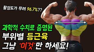 근육활성도로 알아본 상체 프레임과 등근육을 넓히는 가장 효율 높은 운동!? 광배근  필수 영상!