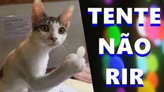 TENTE NÃO RIR / OS MELHORES MEMES - VIDEOS ENGRAÇADOS #72