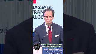 Французская разведка против стабильности Алжира