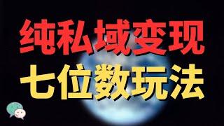 纯私域变现七位数玩法，年引流10万＋精准创业粉