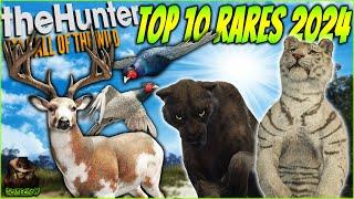 The Top 10 Most INSANE Rares & Super Rares Of 2024! Call of the wild