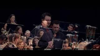 W. A. Mozart: Concerto for Clarinet and Orchestra in A Major, K 622, Aleksandar Tasic-clarinet