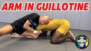 Arm In Guillotine & Guillotine Breakdown |#rollwiththefox S:6-Ep:34