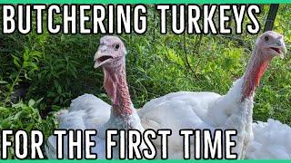 Butchering Turkeys For the First Time ||How to Process a Turkey & Supplies Needed||