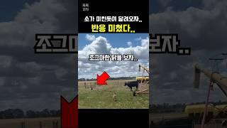달려오는걸 보고 그대로 굳어있자…