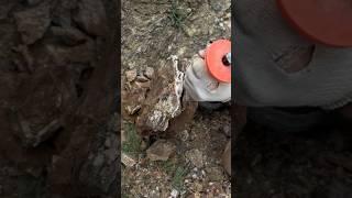 Часть 1. Поиск друз. За покупкой сюда: https://t.me/wowminerals #геология #минерал #коллекция