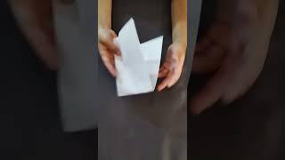 Make a  two fold paper popper