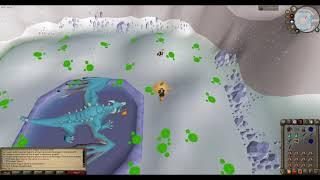 [OSRS] Vorkath hunting (low level, blowpipe only)