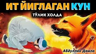 Ит йиғлаган кун (тўлиқ холда) °Абдуллох Домла°Abdulloh Domla° It yig'lagan kun #abdullohdomla #rek