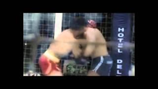 Revolution Fighting Champion (RFC).