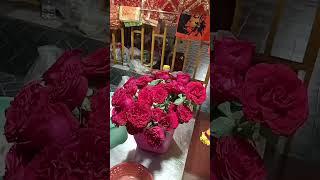 Name Bikash Kumar