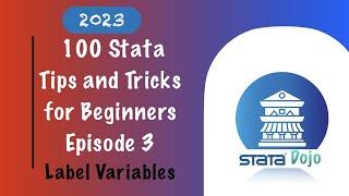 100 Stata Tips and Tricks for Beginners. Episode 3 of 100: How to label variables easily with Stata.