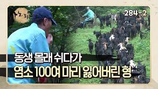 [사노라면] 284-2 염소 방목 중 동생 몰래 쉬다가 염소 100여 마리 잃어버린 형