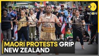 New Zealand: Around 35,000 Maori Protesters Gathered in Wellington | Latest English News | WION