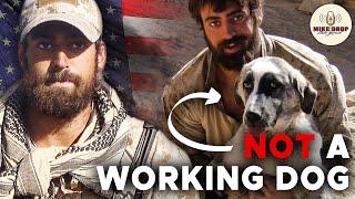 Navy SEAL Smuggles Dog Out of Afghanistan - Bringing Frank Home with Jeff Reid | Mike Drop 205