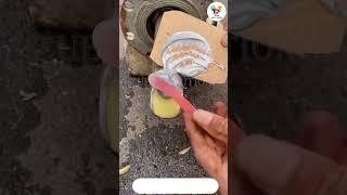 Best YouTube Shorts | Best YT Shorts | Viral YouTube Shorts | Facts Shorts | Shorts Zubi Solutions