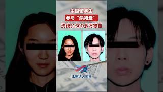 震惊北美留学圈！00后中国留学生卷入杀猪盘，洗钱1300万美金被捕！ #news #熱門 #中国 #移民 #留学生 #crime