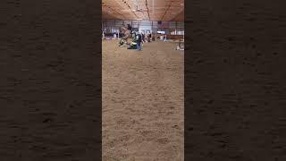 eq + addie = perfection. #horse #equestrian #hunterjumper #equitation