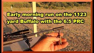 Taking a run at the buffalo with the 6.5 PRC
